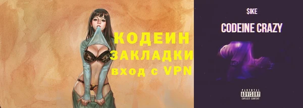 индика Рославль