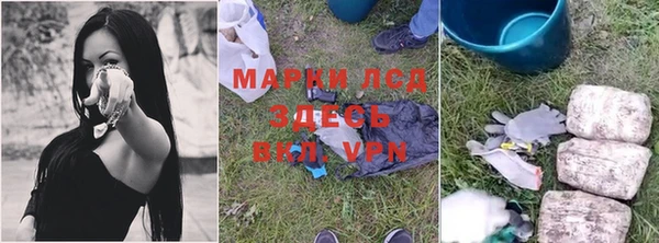 прущие грибы Россошь