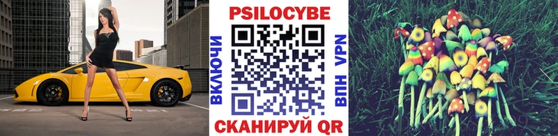 Псилоцибиновые грибы Psilocybine cubensis  Бронницы 