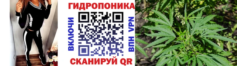 Конопля SATIVA & INDICA  кракен как зайти  Бронницы 